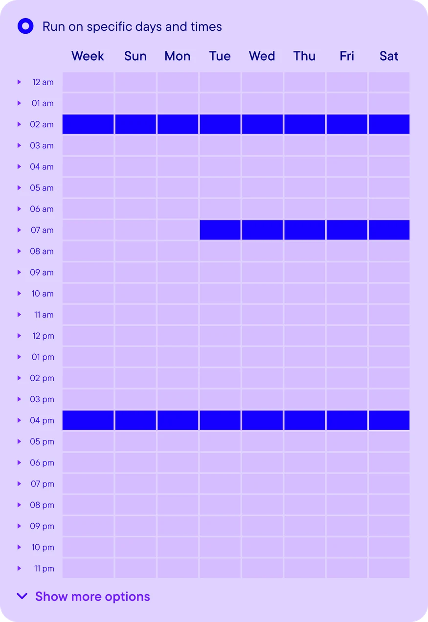 Run on specific days and times